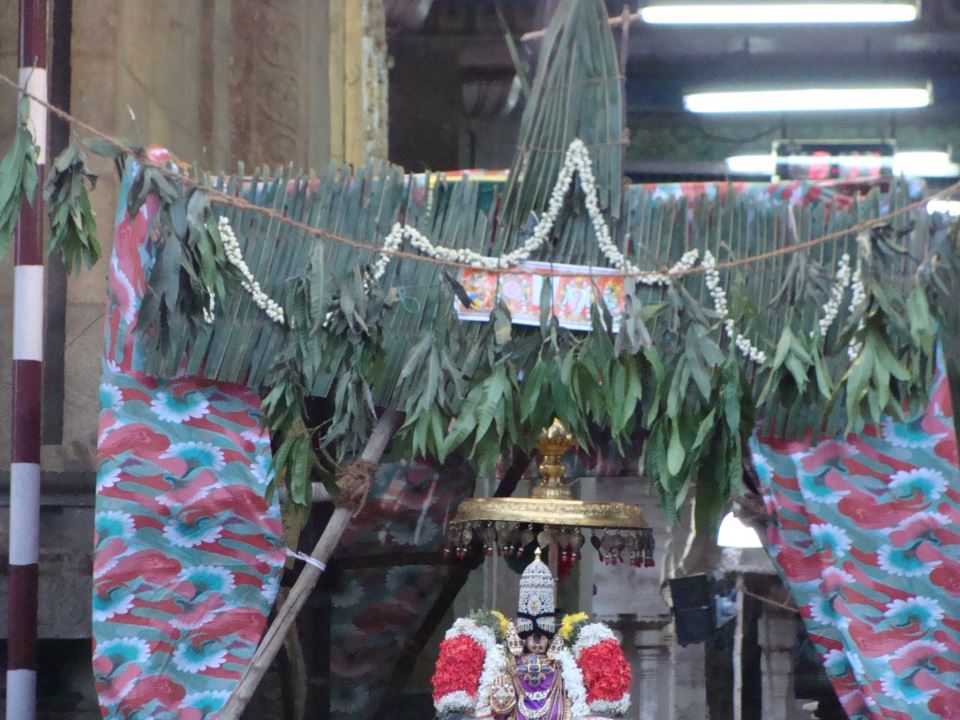 Thiruvarangam Viruppan Thirunaal Chitrai Brahmotsavam Day 10