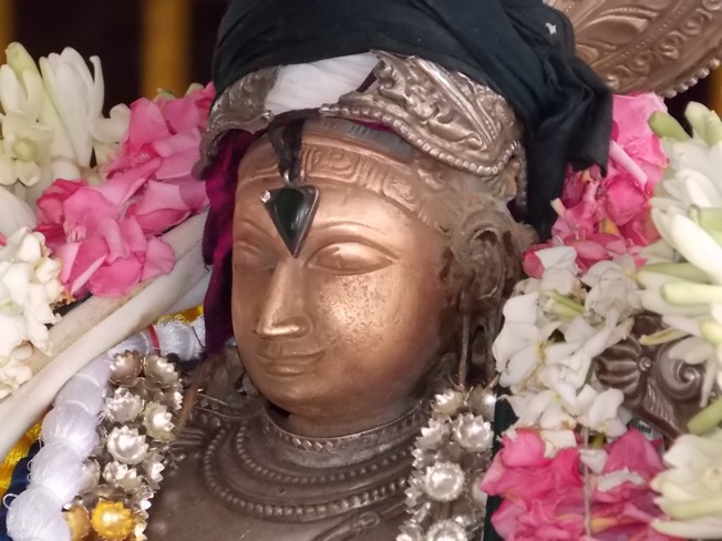 Kapisthalam Sri Gajendra Varadha Raja Perumal Temple Pavithrotsavam: Day 2