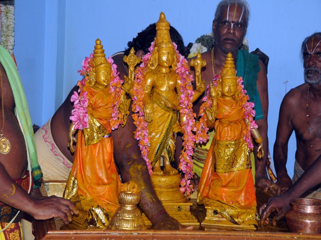 Kalyanotsavam at Madurai Srinivasa Perumal Temple
