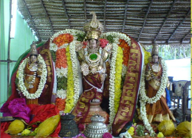 Serangulam Sri Venkatachalapathi Temple Brahmotsava Pathirikai