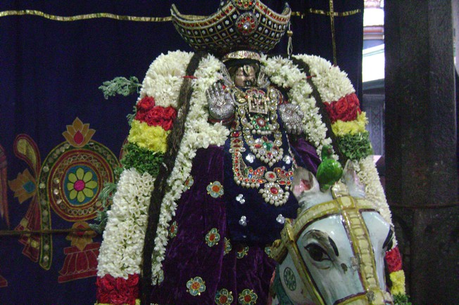 Mylapore Sri Mayuravalli Thayar Navarathri Utsavam – Day 6 (Kudhirai Vahanam)