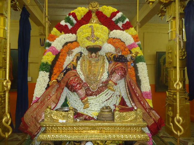 Thiruvahindrapuram Swami Desikan Thirunakshatra Mahotsavam: Yanai Vahanam and Choornabhishekam