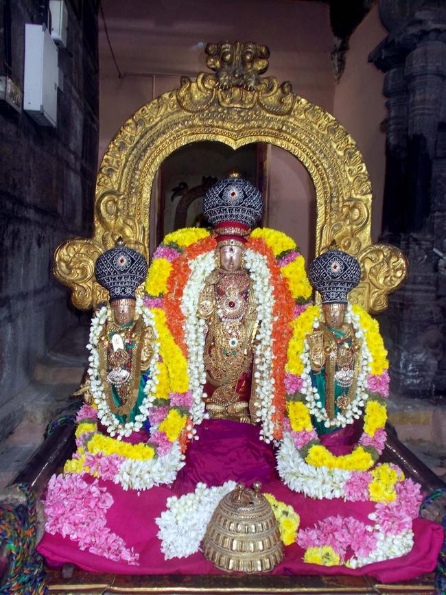 Sri Vishwaksenar Avatara Utsavam at Thiruvallur Sri Veeraraghava Perumal Temple