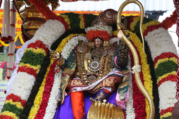 Thiruchanoor Sri Padmavathi Thayar Karthiga Brahmotsavam: Day 3