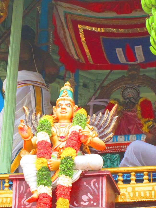 Srirangam Sri Ranganathaswami Temple Adhi Brahmotsavam: Thiruther (Videos)