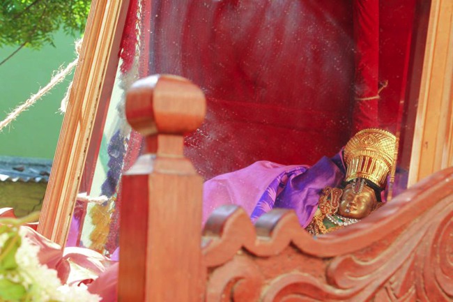MGR Nagar Prasanna Venkatesha Perumal Temple Jaya Varusha Avathara Utsavam Day 9