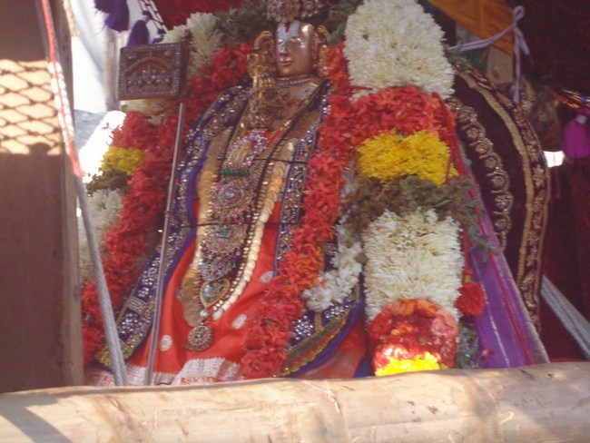 Thiruvallikeni Swami Emperumanar Thiru Avathara Uthsavam -Day 8