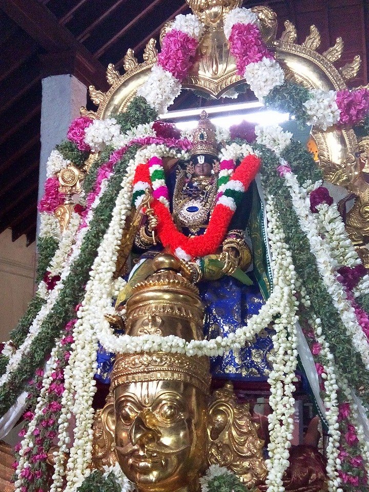 Ariyakudi Thiruvenkadamudayan Vaikasi Brahmotsavam: Day 1-10