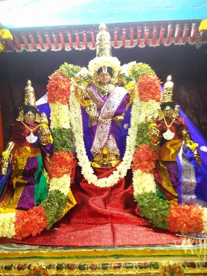 Ariyakudi Thiruvenkadamudayan Vaikasi Brahmotsavam Commences