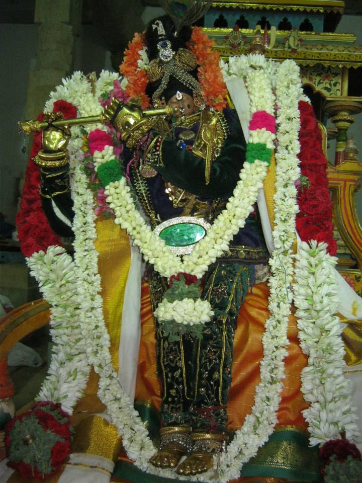 Ariyakudi Thiruvenkadamudayan Vaikasi Brahmotsavam: Day 12