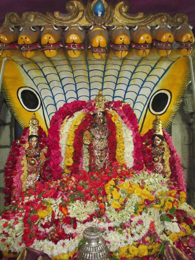 Narasingapuram Sri Lakshmi Narasimha Swamy Temple Aani Brahmotsavam Concludes