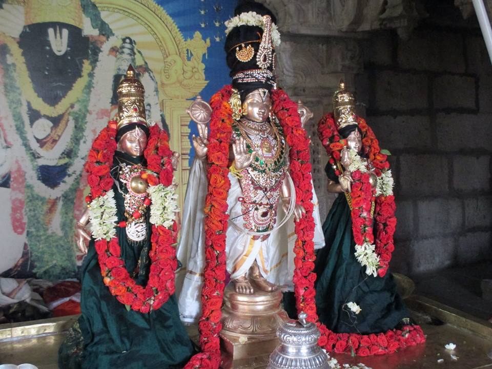 Narasingapuram Sri Lakshmi Narasimha Swamy Temple Aani Brahmotsavam: Day 8