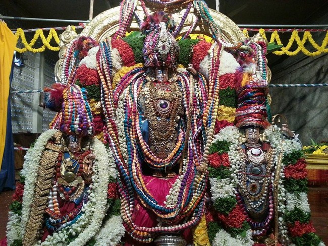 Tirupathi Sri Kothanda Ramar Temple Pavithrotsavam:Day-2