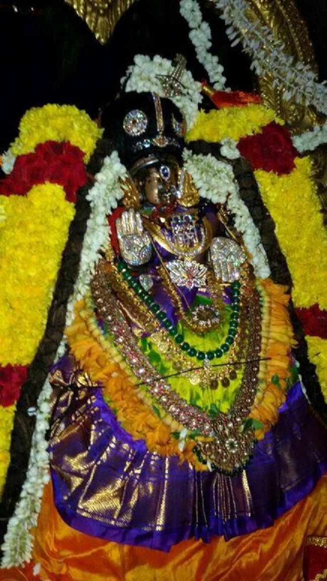 Mylapore Sri Adikesava Perumal Temple Sri Mayuravalli Thayar Aadi Vellikizhamai Purappadu