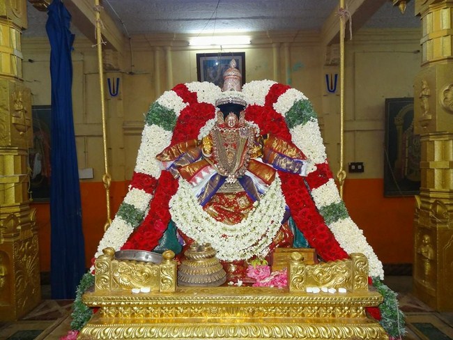 Thiruvahindrapuram Sri Devanathan Perumal Temple Swami Desikan Aadi Sravana Purappadu