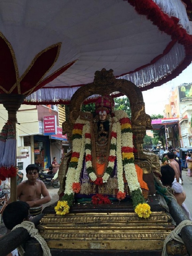 Thiruvallikeni Sri Parthasarthy Perumal Temple Swami Alavandhar Thirunakshatram Purappadu