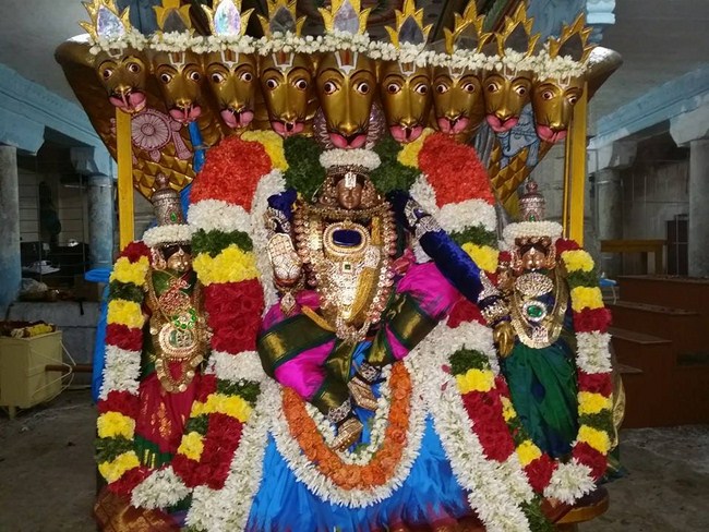 Thirukovalur Sri Trivikrama Perumal Temple Sri Jayanthi Utsavam Day 4-6