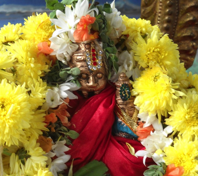 Karthikai Swathi Homam and Thirumanjanam At Arasanipalai Sri Lakshmi Narayana Perumal Temple