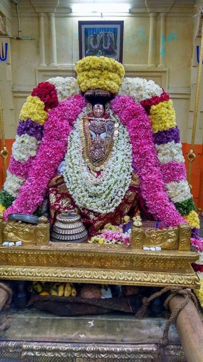 Thiruvahindrapuram Sri Devanathan Perumal Temple Sravana Purappadu