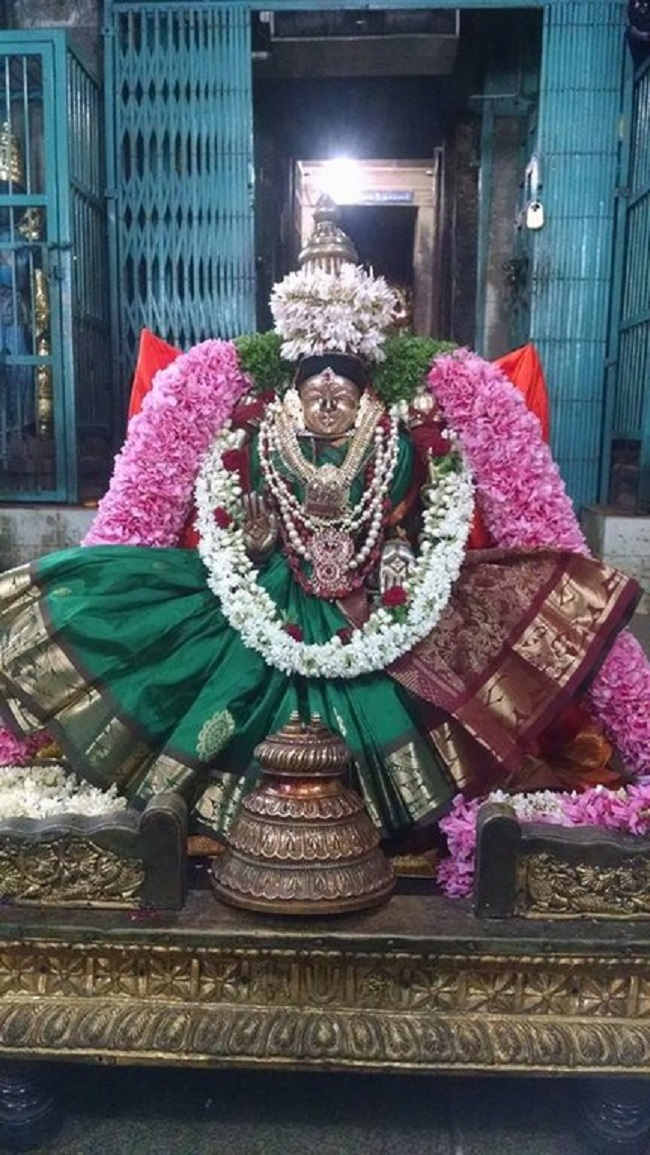 Thiruvahindrapuram Sri Hemabujavalli Thayar Vellikizhamai Purappadu