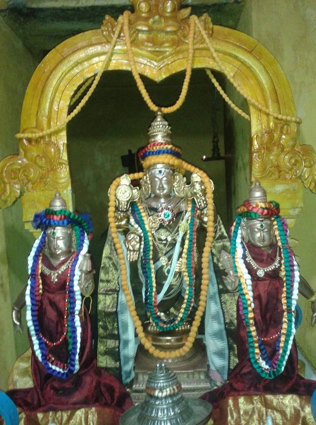 Thiruvallur Sri Prasanna Venkatesa Perumal Temple Pavithrotsavam – Day 1 & 2