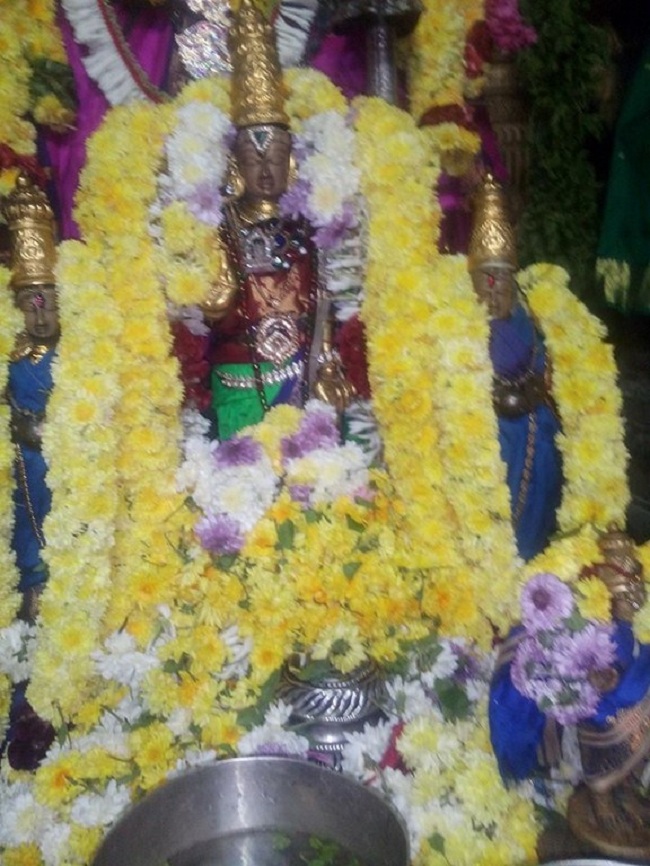 Arumbakkam Sri Satyavaradaraja Perumal Temple Thirupaanazhwar Thirunakshatram And Thirukarthikai Utsavam
