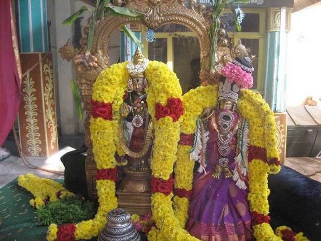 Arumbakkam Sri Satyavaradaraja Perumal Temple Sri Andal Thirukalyana Utsavam