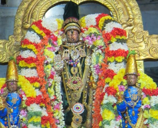 Kanchi Sri Devarajaswami Temple Irappathu Utsavam : Day 7