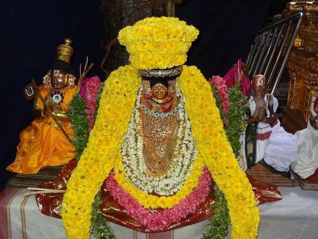 Thiruvahindrapuram Sri Devanathan Perumal Temple Irappathu Utsavam :Iyarpa Satrumurai