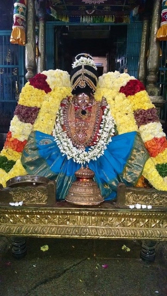 Thiruvahindrapuram Sri Hemambhujavalli Thayar Thiruadhyayana Utsavam Day 1-3