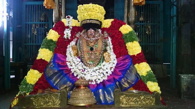 Thiruvahindrapuram Sri Hemambhujavalli Thayar Thiruadhyayana Utsavam Day 6-9
