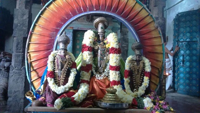 Mylapore Sri Adikesava Perumal Temple Rathasapthami Purappadu