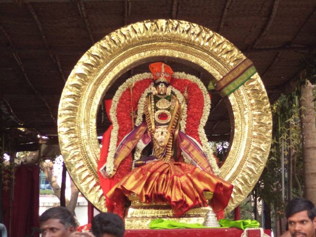 Dalmiapuram Sri Kothandaramar Sannadhi Jaya Varusha Ekadhina Brahmotsavam