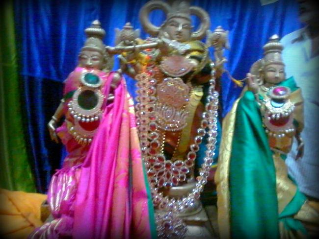 Punjai Puliampatti Sri Karivaradaraja Perumal Temple Masi Maga Thirukalyana Utsavam