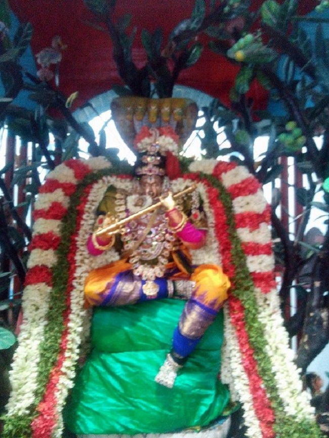 Mylapore Sri Madhava Perumal Temple Brahmotsavam Commences