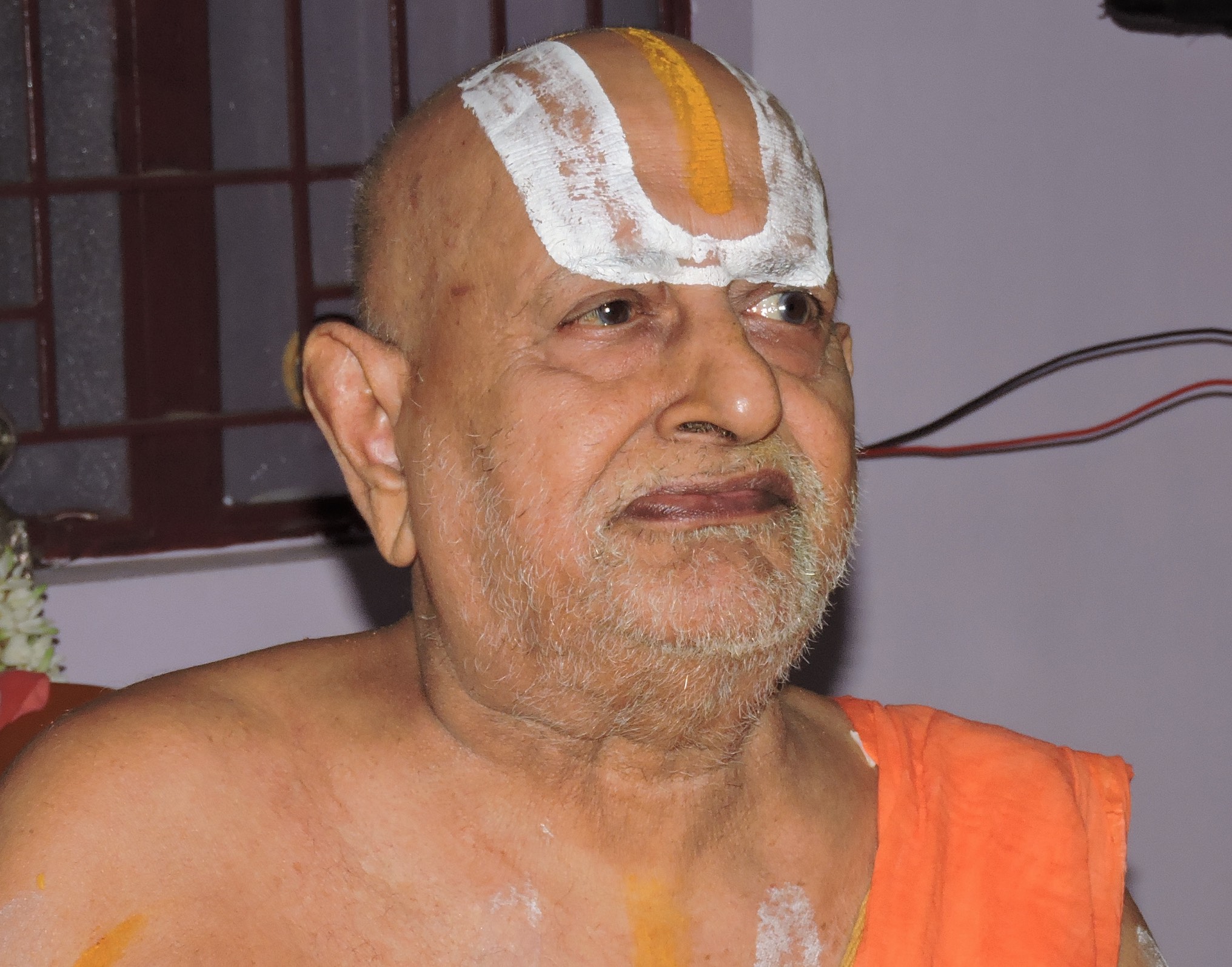 Srimad Srimushnam Andavan Sathabisheka Mahotsavam Day 4: Azhwar Thirunagari Jeeyar Visits