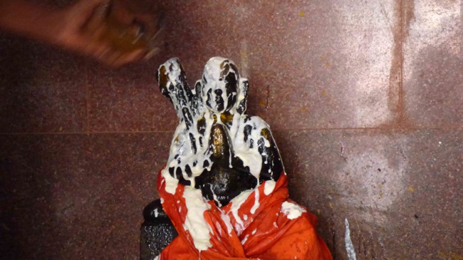 Thillaisthanam Swami Manmadha Varusha Kaingarya Aradhanam At Srirangam Brindavanam