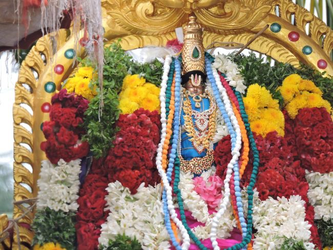Aviyur Sri Navaneetha Krishna Perumal Temple Thirupavithrotsavam Concludes