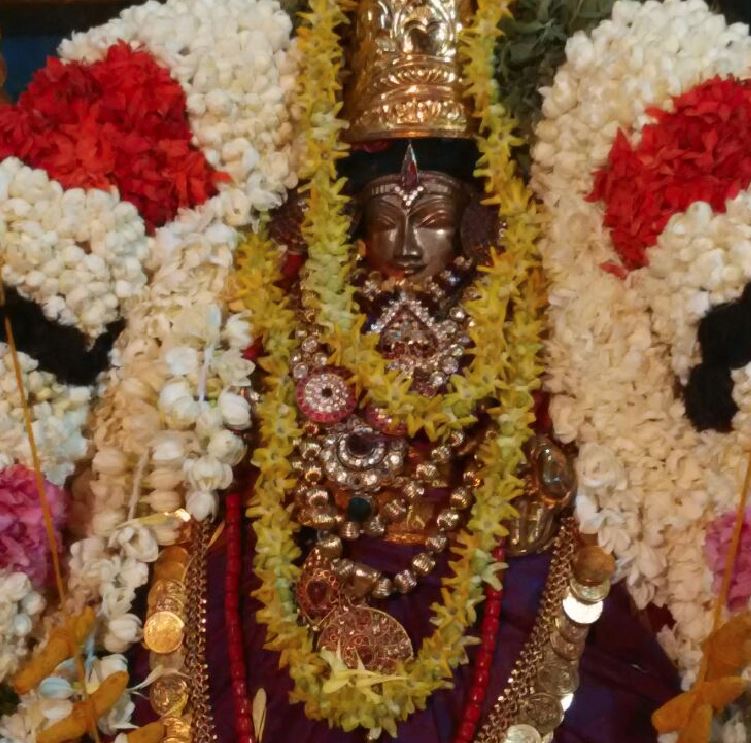 MGR Nagar Sri Prasanna Venkatesa Perumal Kovil Aadi Vellikizhamai Purappadu