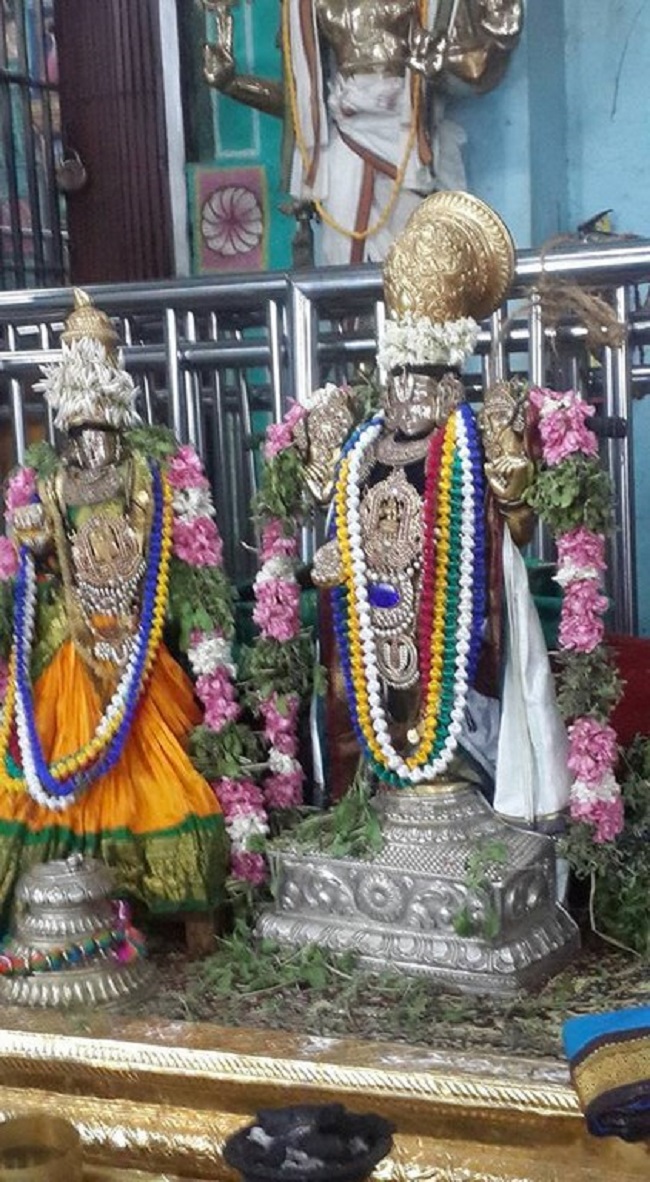 Thiruvinnagar Sri Oppilliappan Venkatachalapathi Temple Manmadha Varusha ThiruPavithrotsavam Day 1&2
