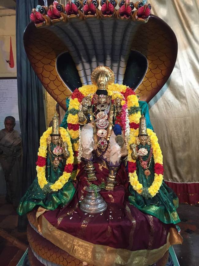 MGR Nagar Sri Prasanna Venkatesa Perumal Temple Manmadha Varusha Swami Desikan Avathara Utsavam : Day 5 & 6