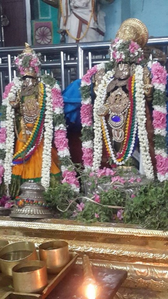Thiruvinnagar Sri Oppilliappan Venkatachalapathi Temple Manmadha Varusha ThiruPavithrotsavam Day 3-5