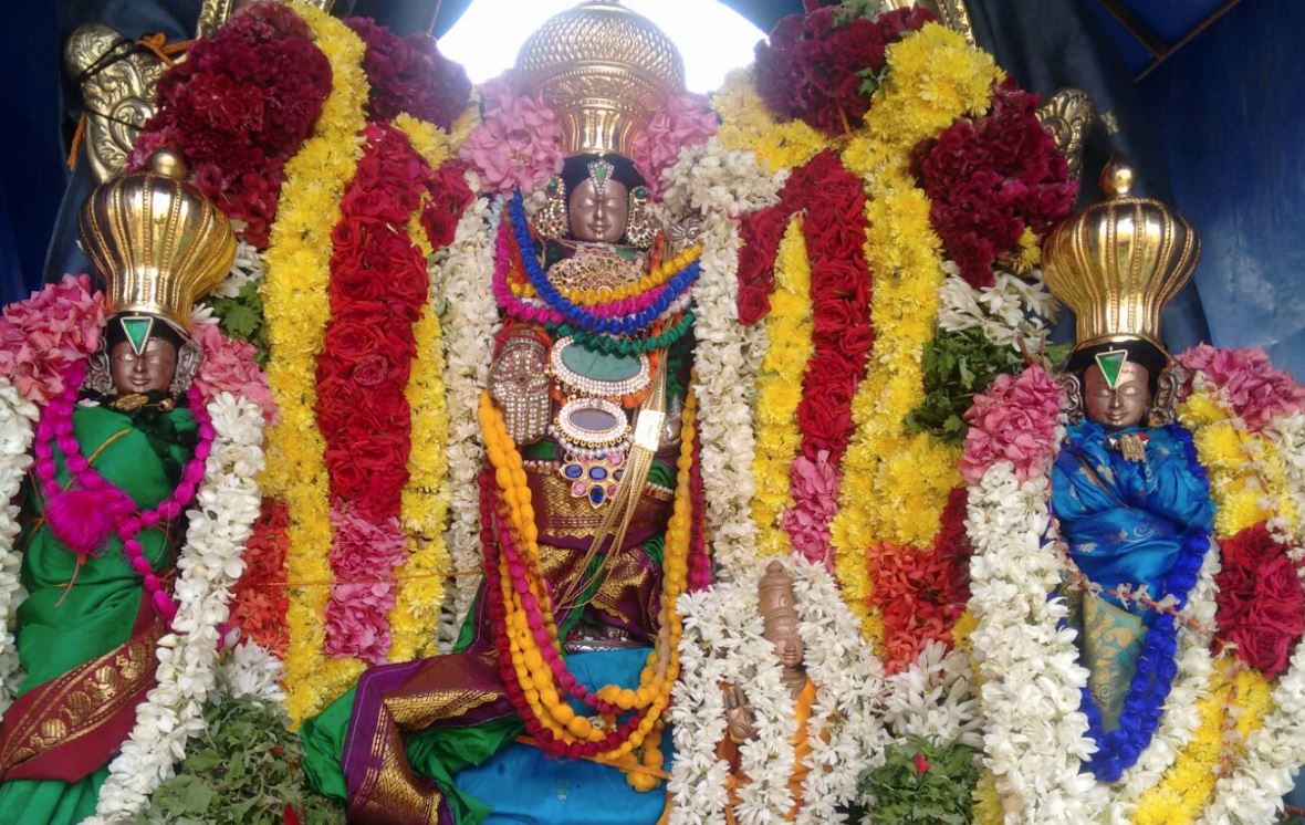 Thillaisthanam Sri Srinivasa Perumal Temple Manmadha Varusha Pavithrotsavam Concludes