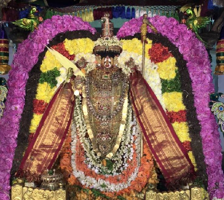 Thiruvahindrapuram Sri Devanathan Perumal Temple Manmadha Varusha Pagal Pathu Utsavam- Day 7