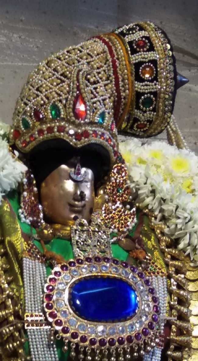 Thirukoodal Sri Vyuga Sundararajan Pagal Pathu Utsavam- Day 1 To Day 5