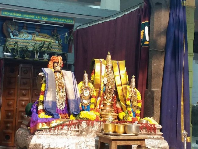 Mylapore SVDD Srinivasa Perumal Temple Manmadha Varusha Bhogi Sri Andal Thirukalyana Utsavam