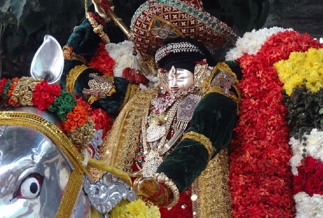 Thiruvahindrapuram Sri Devanathan Perumal Temple Manmadha Varusha Kanu Parvettai Utsavam