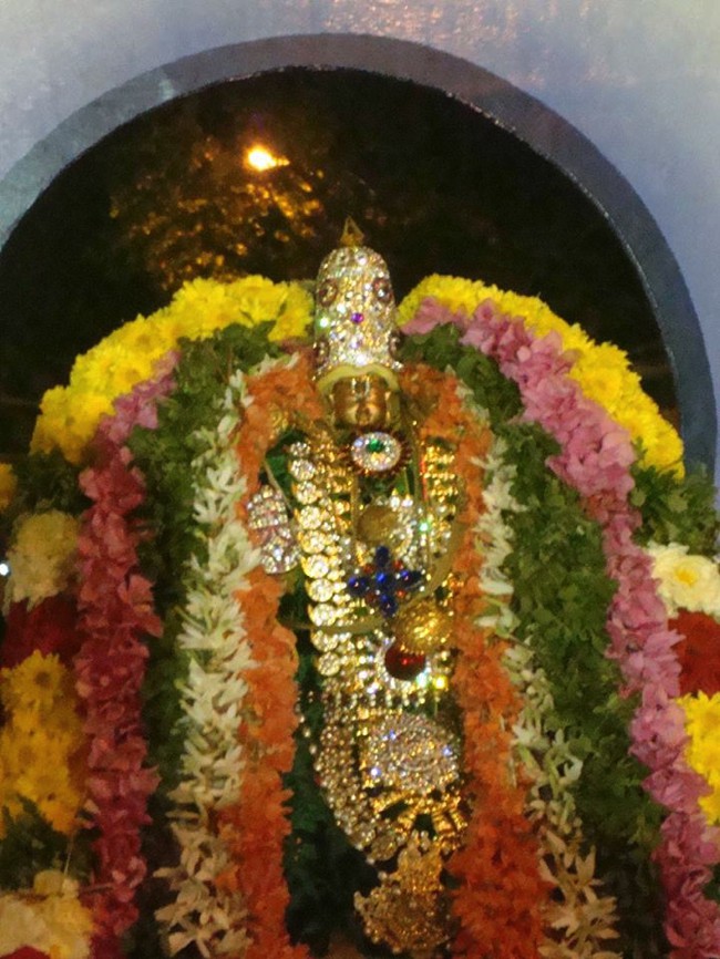 Rathasaptami Mahotsavam At Nanganallur Sri Lakshmi Hayavadhana Perumal Temple