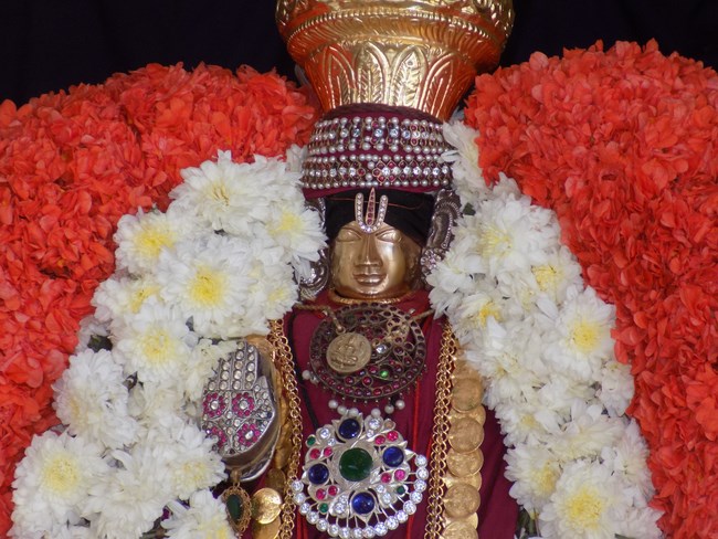 Nanganallur Sri Lakshmi Narasimhar Navaneetha Krishnan Temple Manmadha Varusha Rathasaptami Mahotsavam