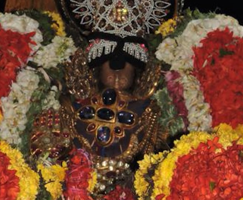 Srirangam Ranganathaswami Temple Masi Theppotsavam – Day 7